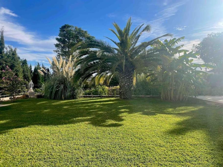 Apartamento Con Jardin Y Piscina En Κόρδοβα Εξωτερικό φωτογραφία